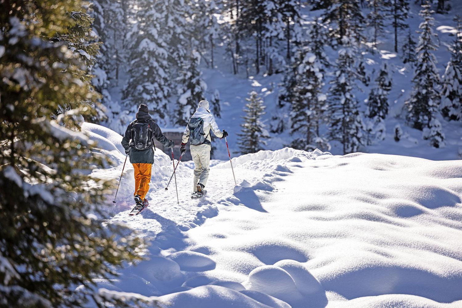 Top 20 Winteralternativen 2023