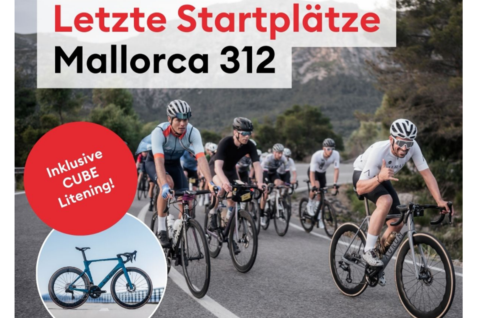 Mallorca 312