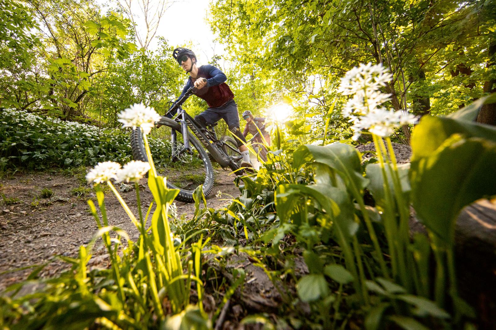 Fit für den Frühling: Wie man sein Bike vor den ersten Touren der Saison aus dem Winterschlaf holt