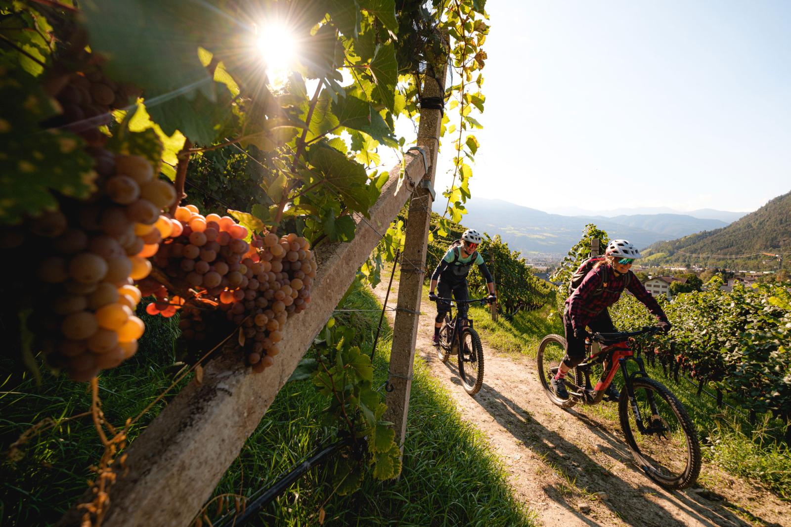 Sehnsucht Herbst: Jetzt ist Südtirol am lohnendsten