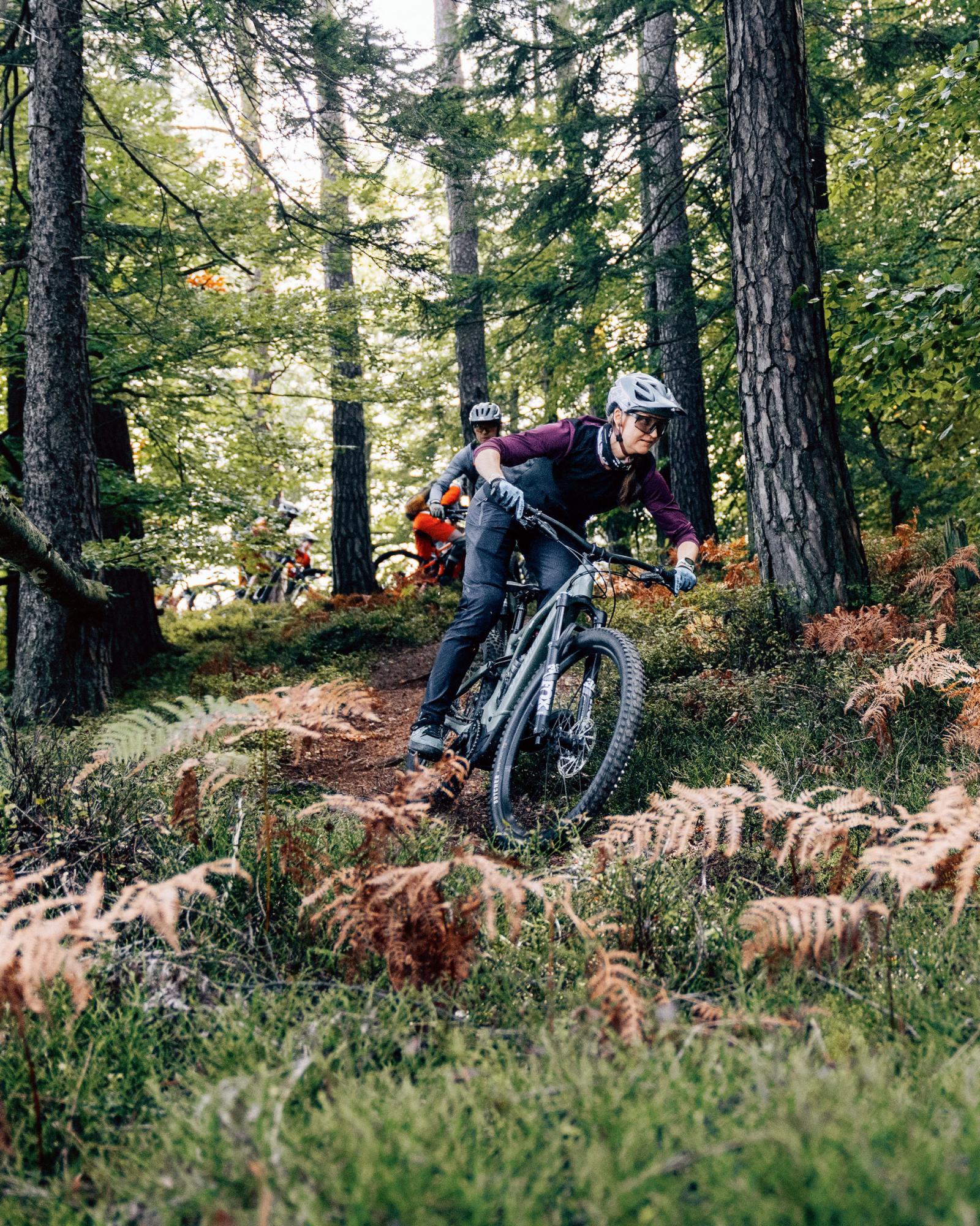 Greenhorns, aufgepasst: Tipps und Tricks für ­Einsteiger zum Abfahren auf Trails