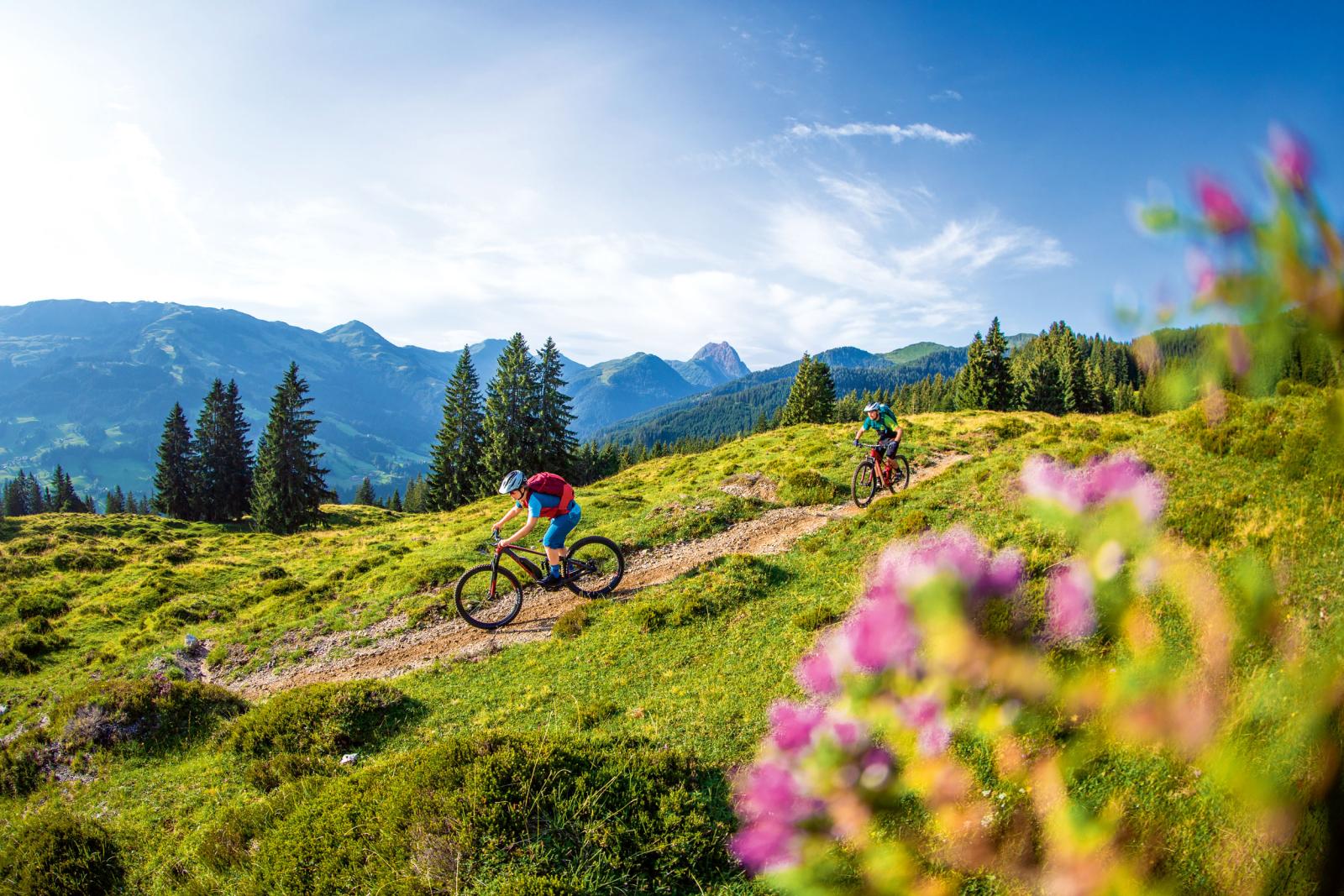 Schritt in Richtung Oberliga: Tipps und Tricks für Könner zum Abfahren auf Trails