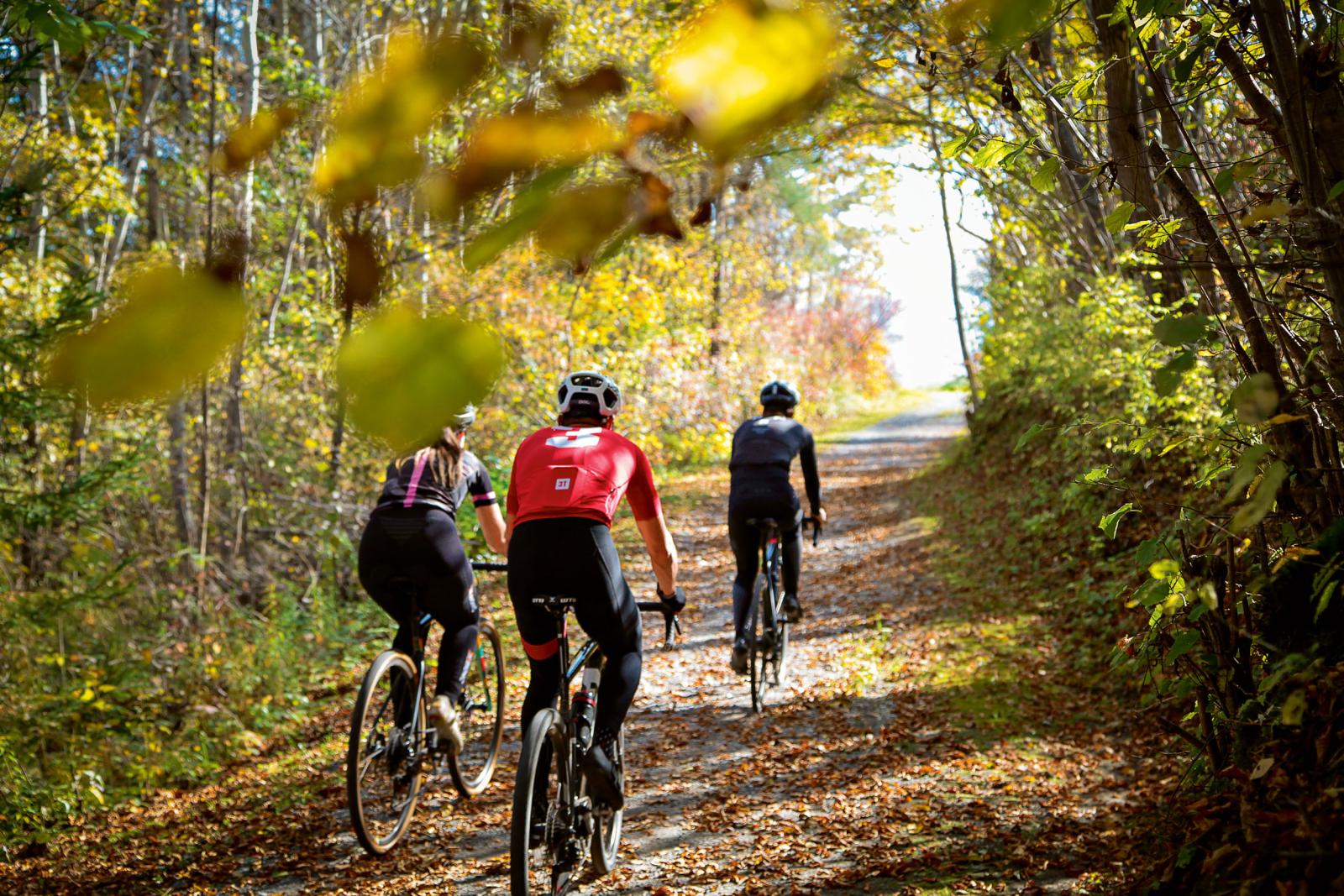 Sein oder anders sein: Von Rennrad- und Graveltouren und was beide voneinander unterscheidet
