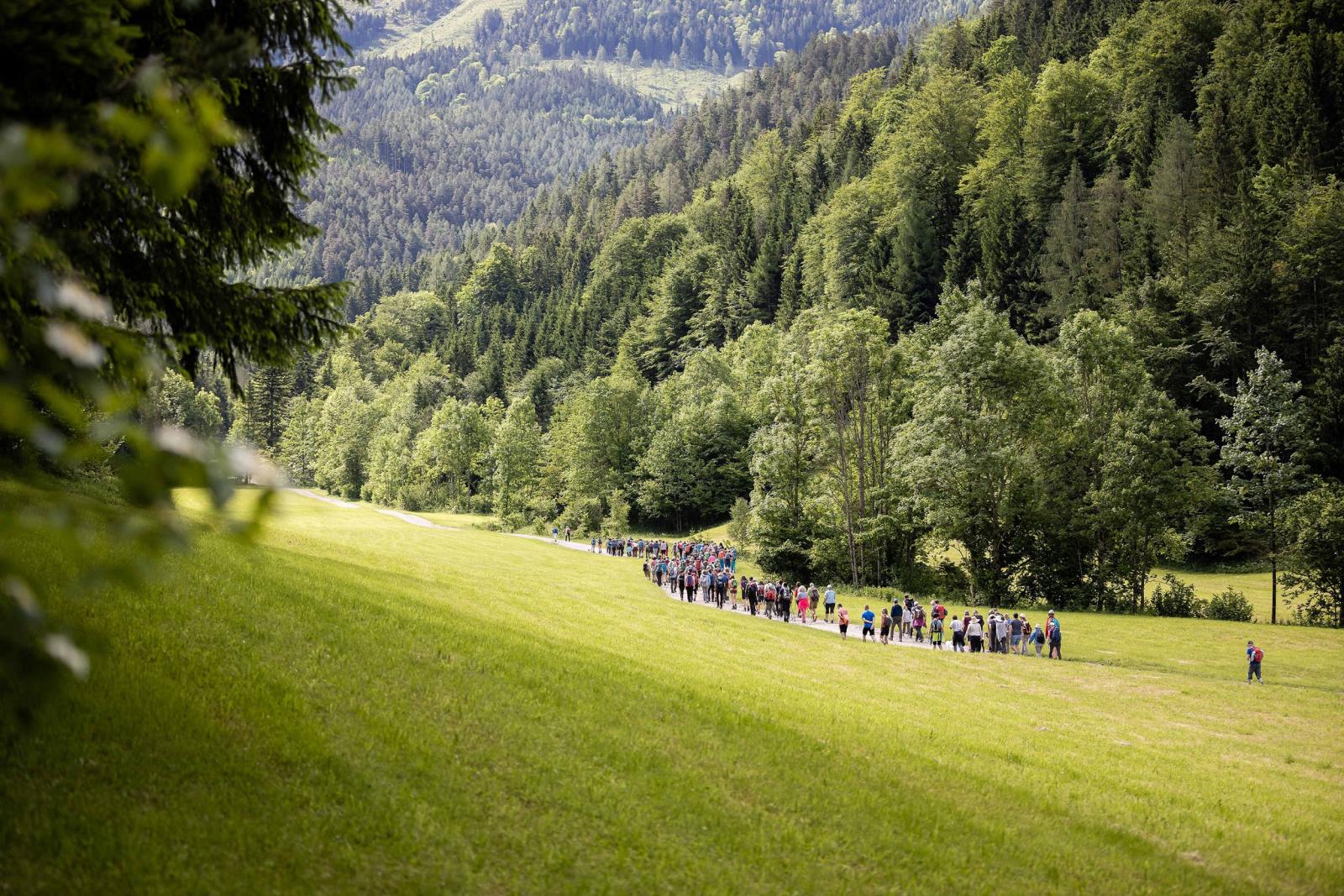 Wenn der Berg zur Bühne wird: Gipfelklaenge 2024 von 6. bis 8. September in Ybbsitz