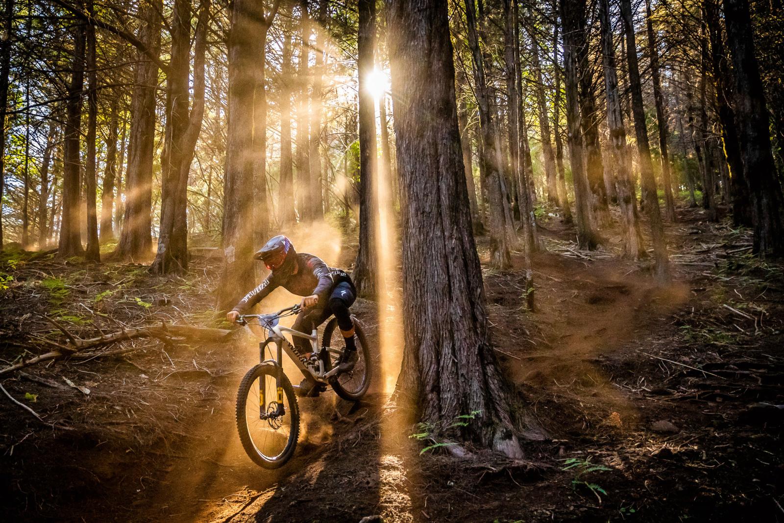 Schmetterling und Biene: Warum diese Stichwörter auch zu Enduros passen