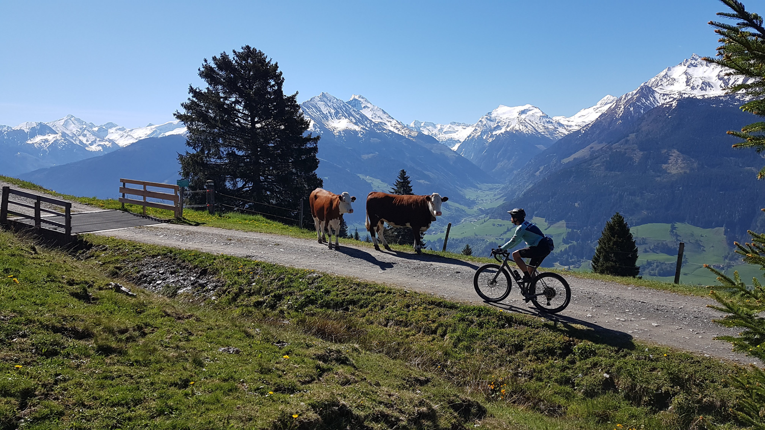 Top 20 Herbst-Graveltouren 2024