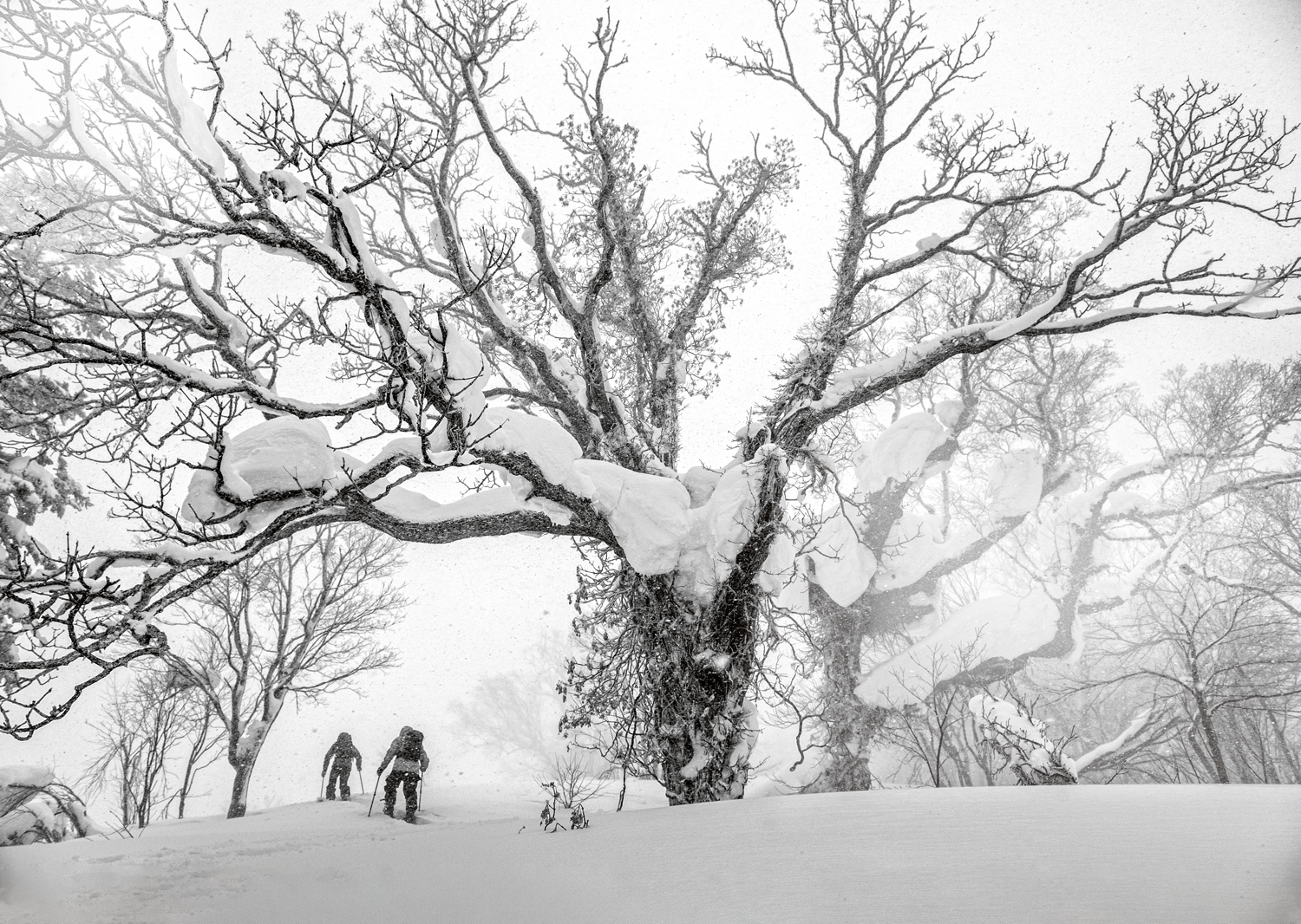 Bergauf, bergab oder von allem etwas: So findest du den perfekten Tourenski