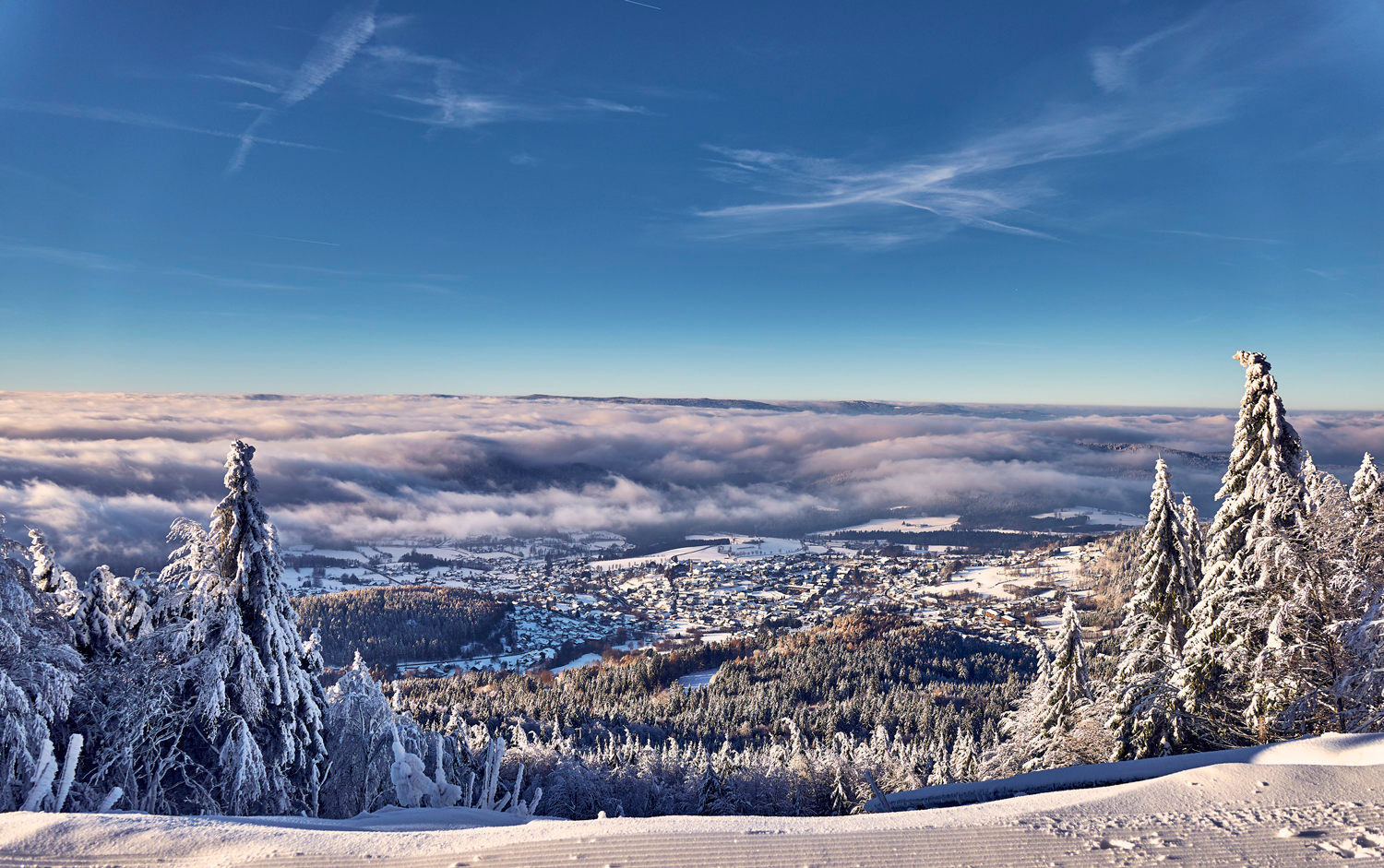 6. Deutscher Winterwandertag im Herzen des Bayerischen Waldes