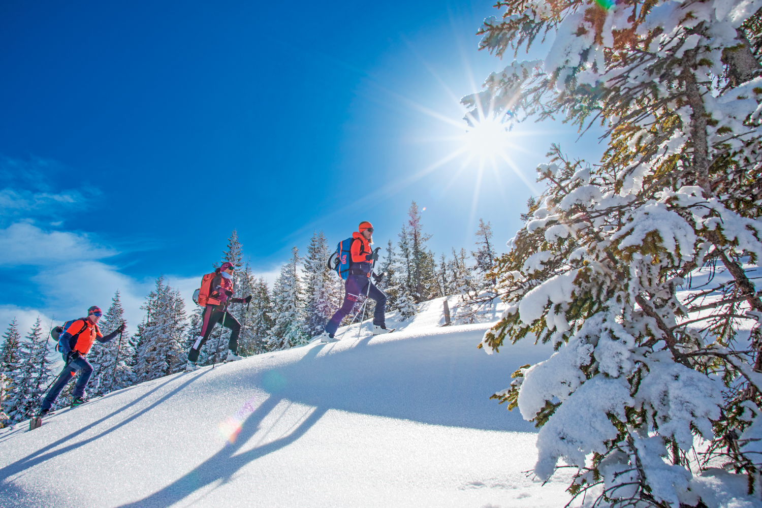 Top 20 Frühlings-Skitouren 2025