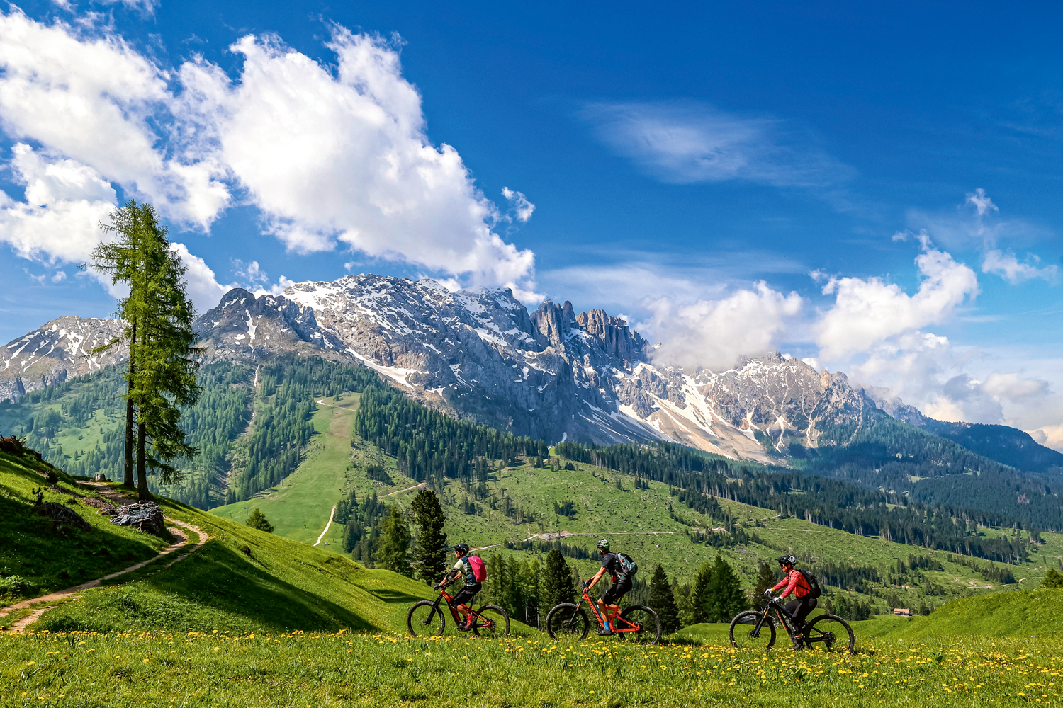 Big Player vs. ­Geheimtipp: Was die bekannten und was weniger bekannte Bikeregionen besser können