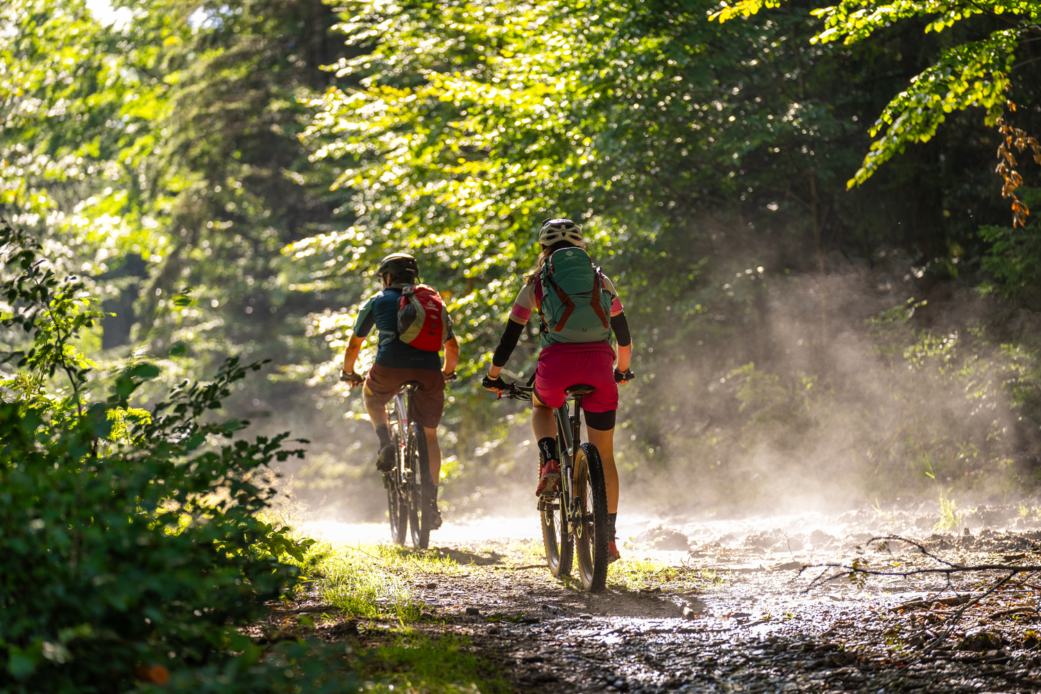WOID-Flow im Bayerischen Wald: In vier Tagen auf zwei Rädern durch das ARBERLAND