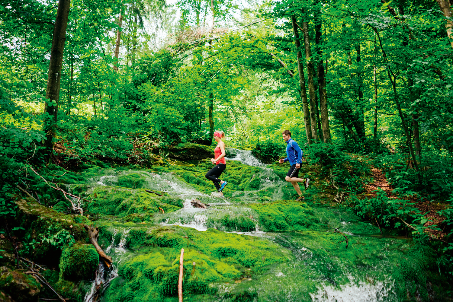 Laufbar –  wunderbar: 4 Profis verraten, was schöne Lauftrails ausmacht und geben ­Einsteiger-Tipps