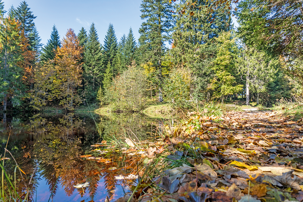 Top 20 Herbst-Wandertouren