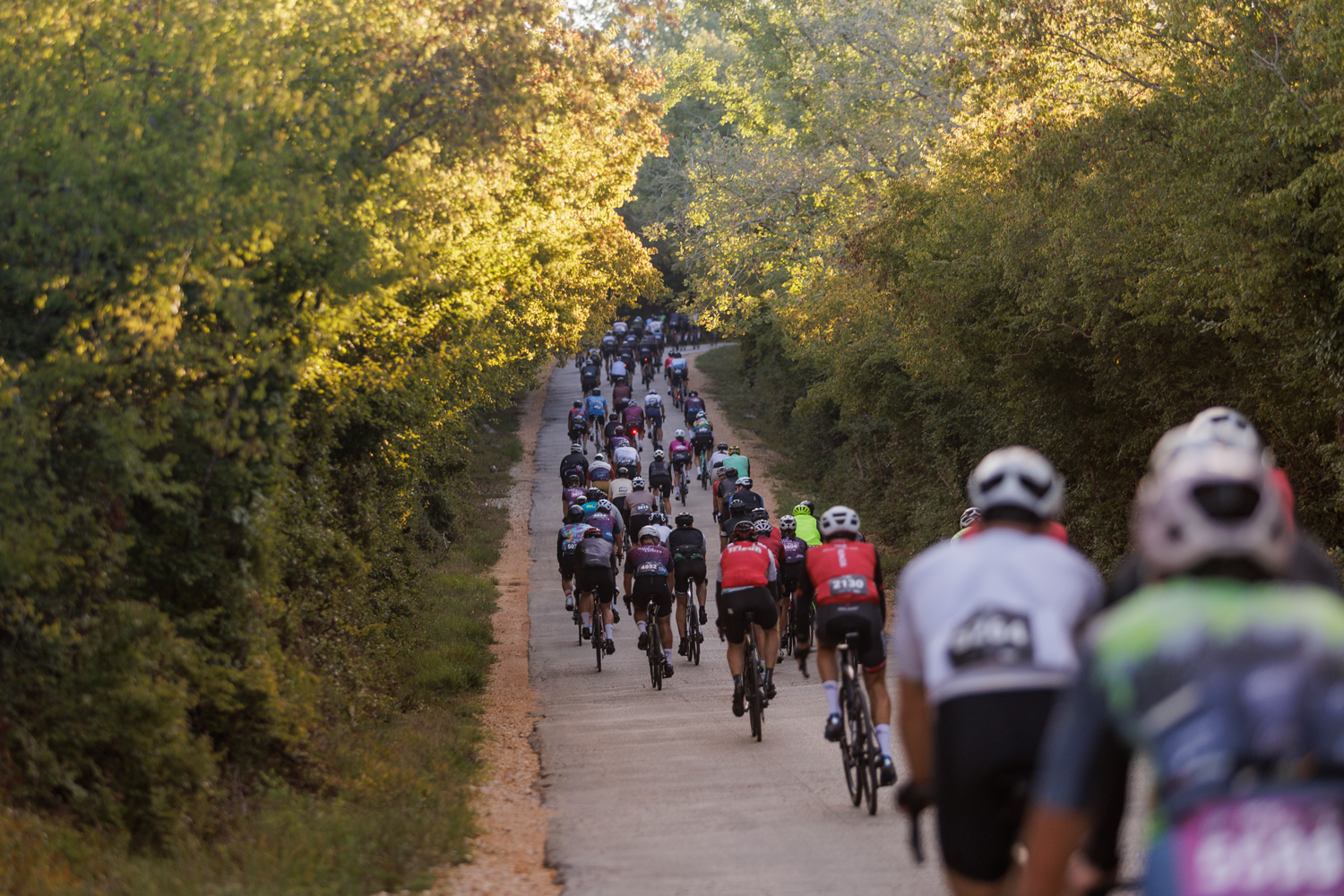 Istria300 – „Ride Your Limits“ begeistert mit Rekordstarterfeld und österreichischem Doppelsieg