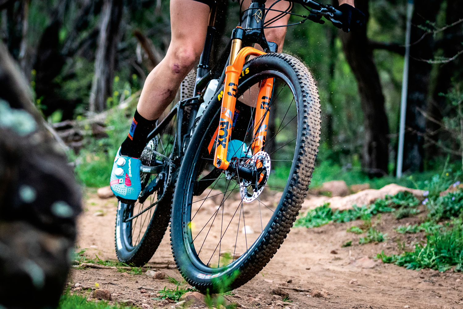 Rollware: Rollwiderstand, Dämpfung, Grip und Kontrolle – die Welt der MTB-Pneus