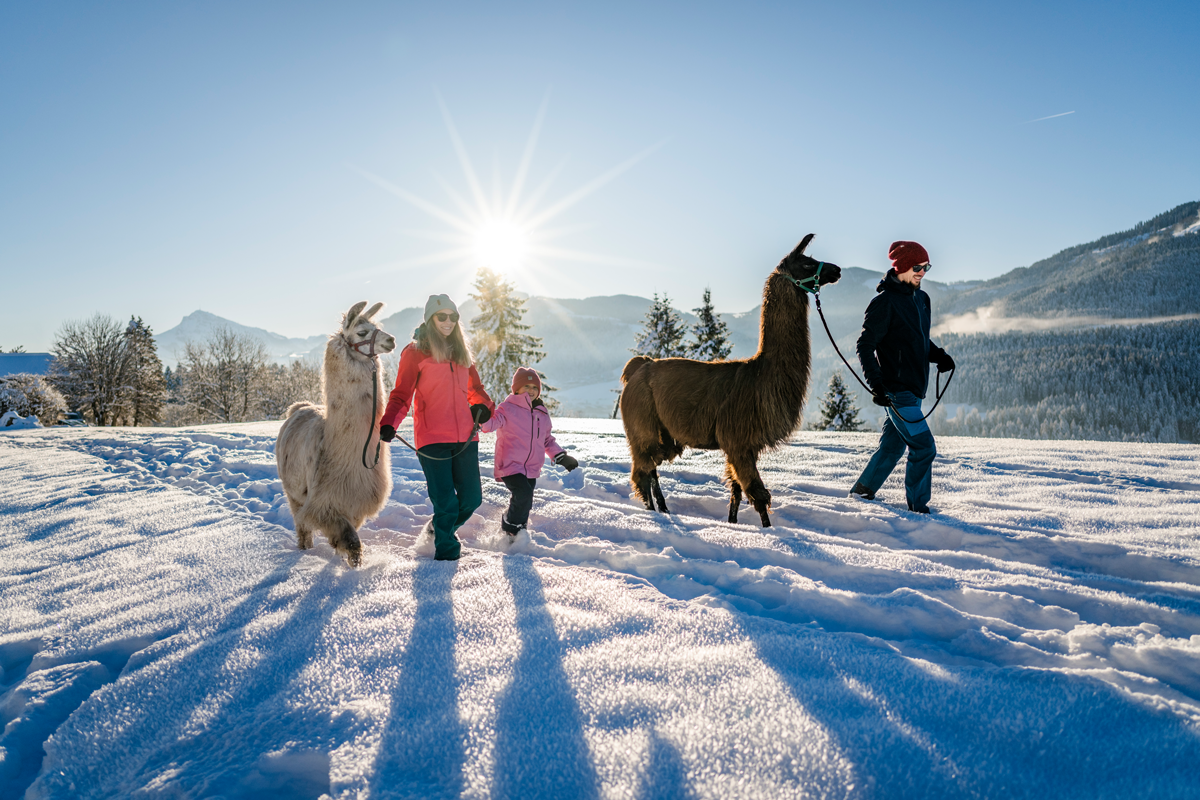 MÄRZplus 2026 am Wilden Kaiser: Wenn Winter & Frühling aufeinandertreffen