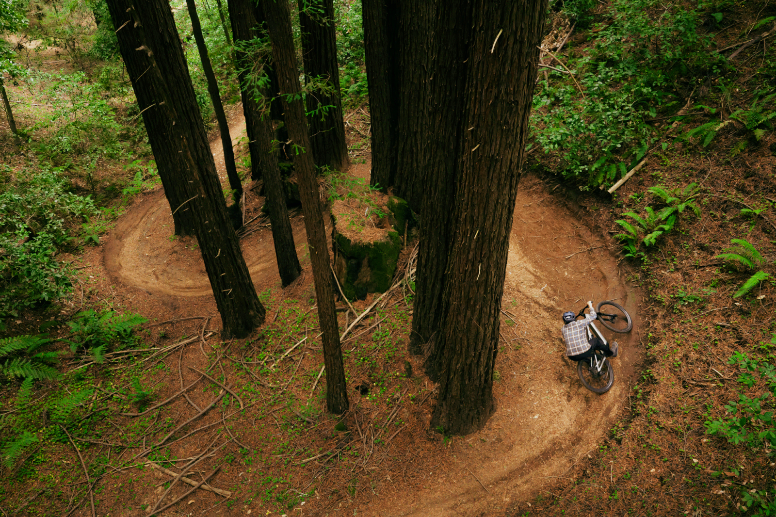 Aventon Current – Trail‑Action neu definiert