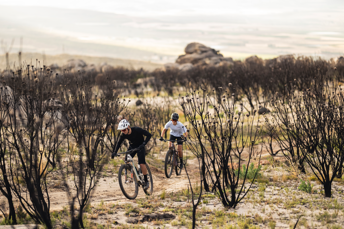 5 Fakten über ergonomische Griffe von SQlab, die jeder Radfahrer kennen sollte