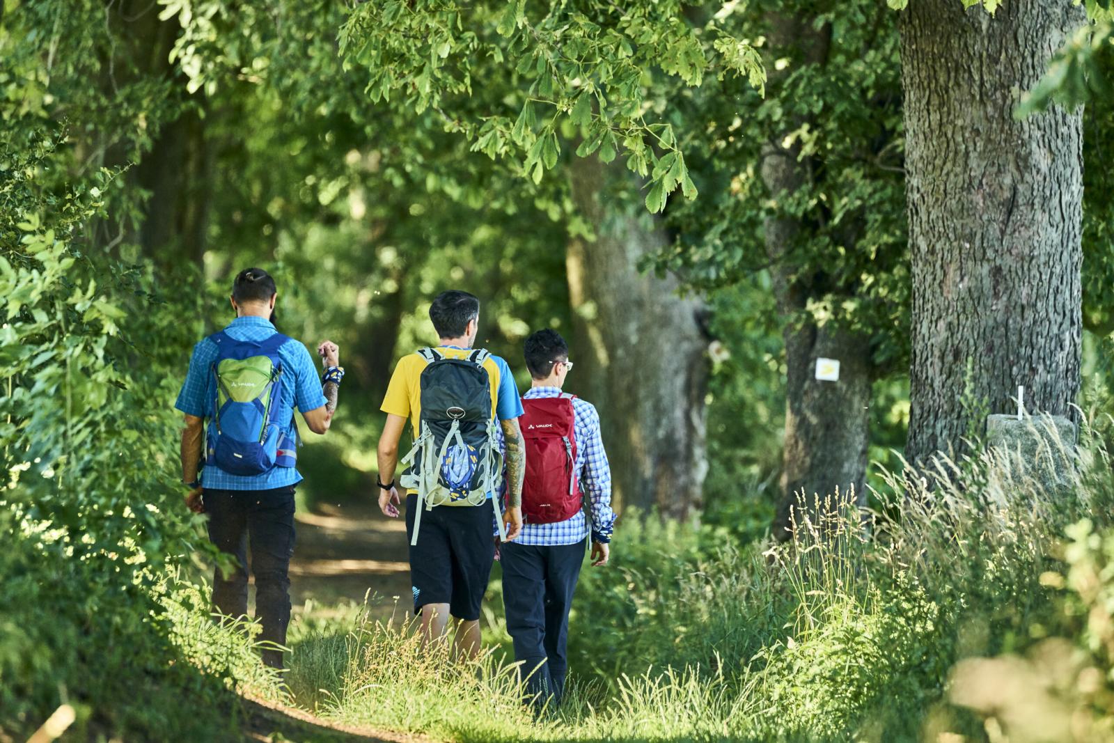 Trekking Award 2026 geht an den Goldsteig