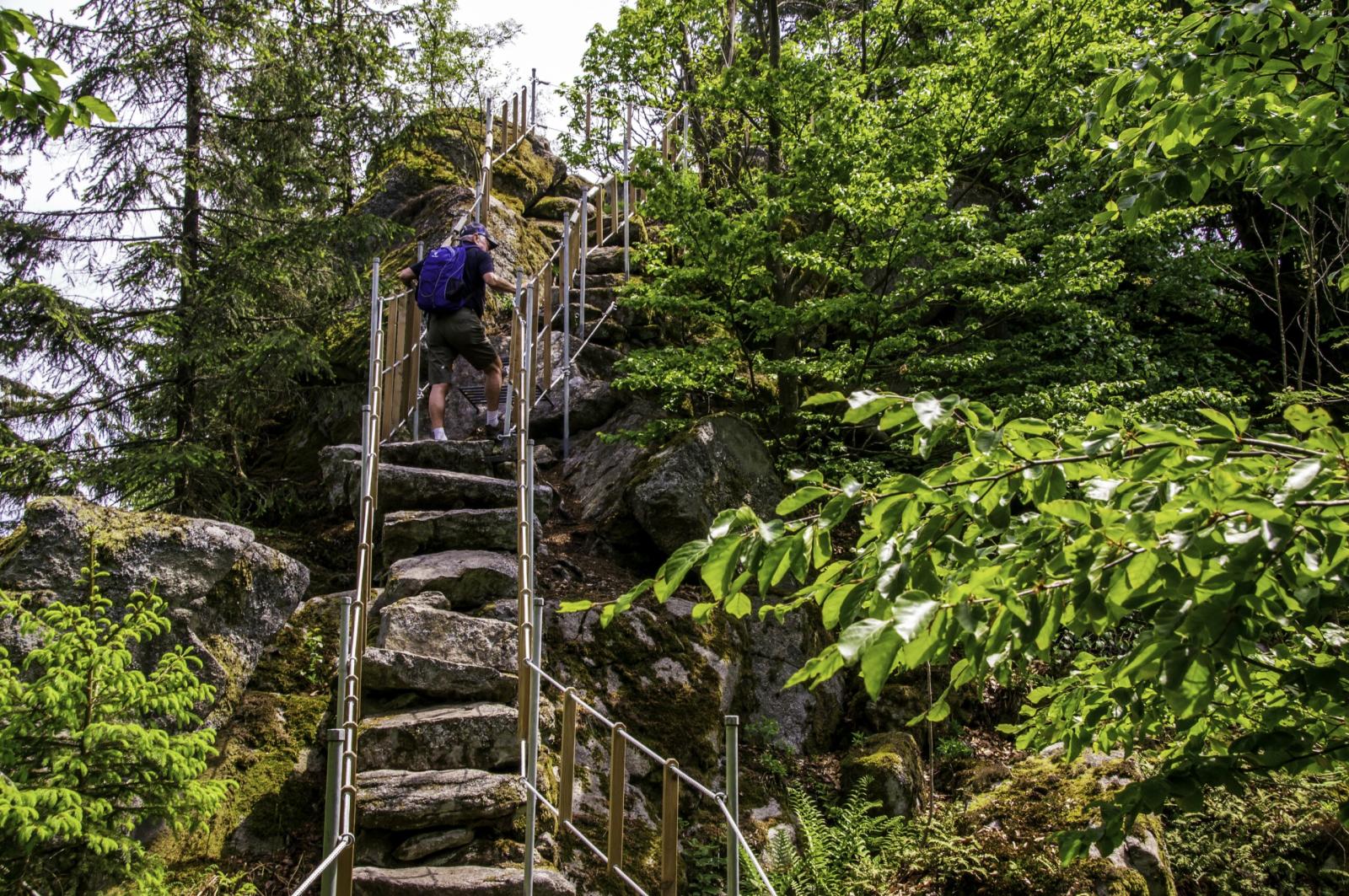 Trekking Award 2026 geht an den Goldsteig