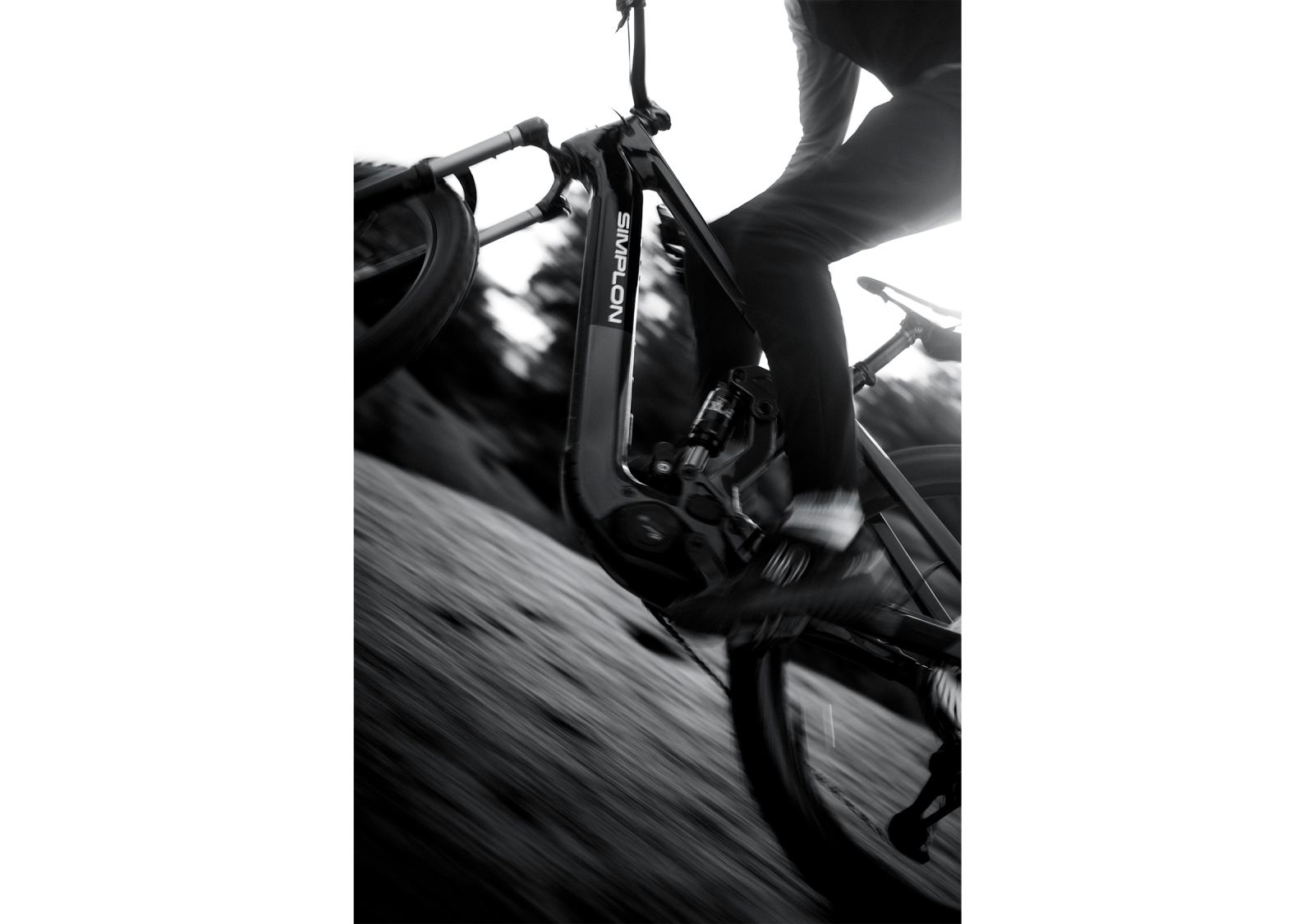 SIMPLON RAPCON AL :e – Performance für alle