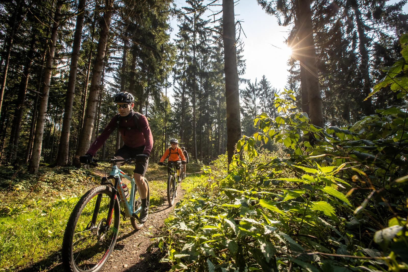 In Linz greifen alle Räder ineinander