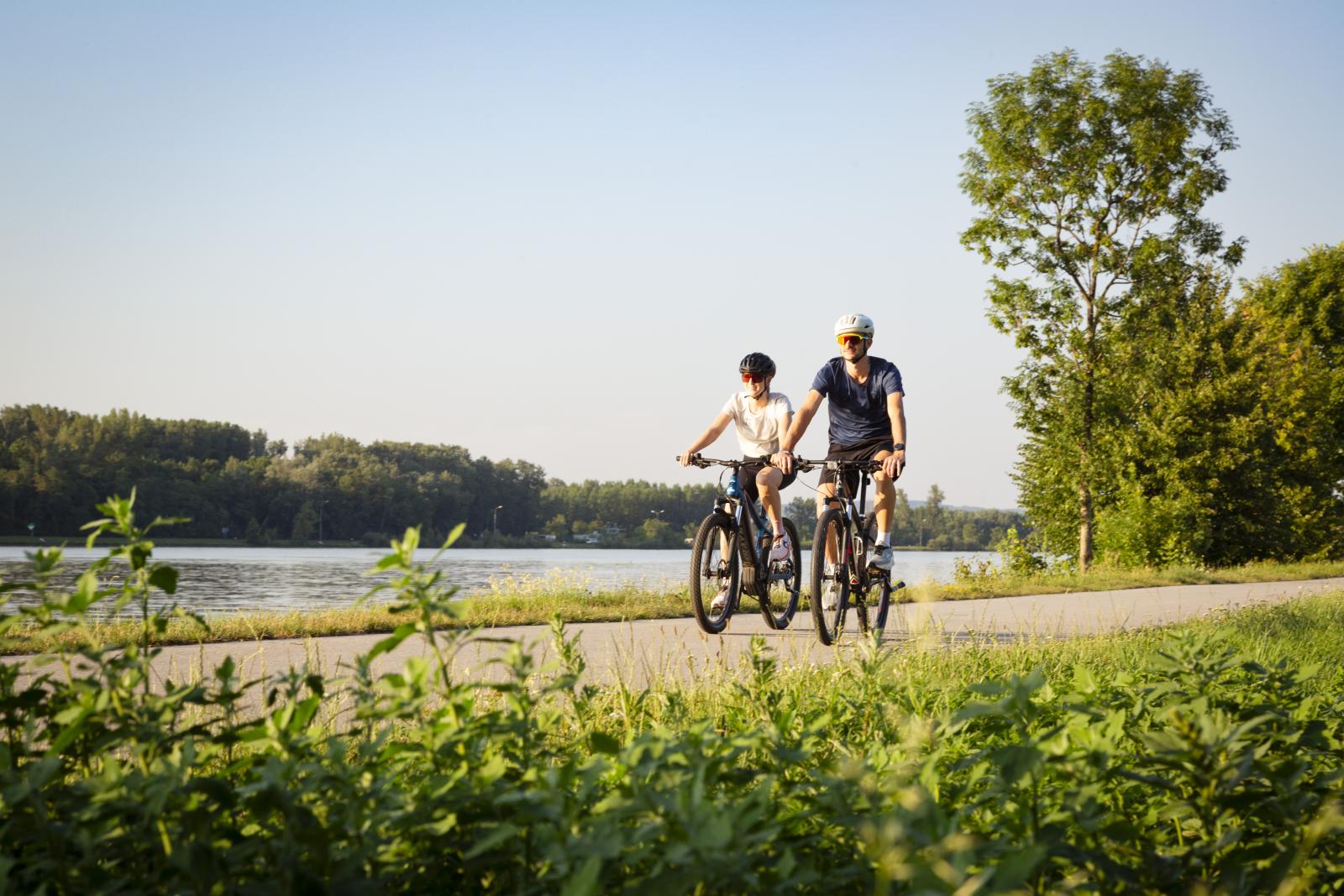 Das Kremstal entdecken – Radvergnügen zwischen Wein, Kultur und Natur