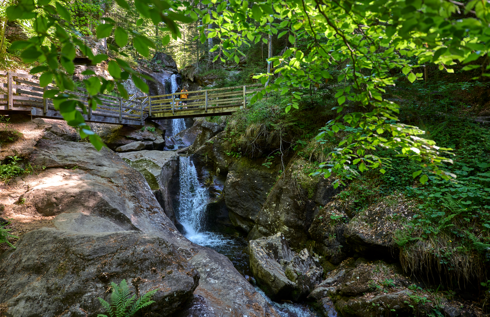 Bodenmais hat Deutschlands schönsten Wanderweg 2026