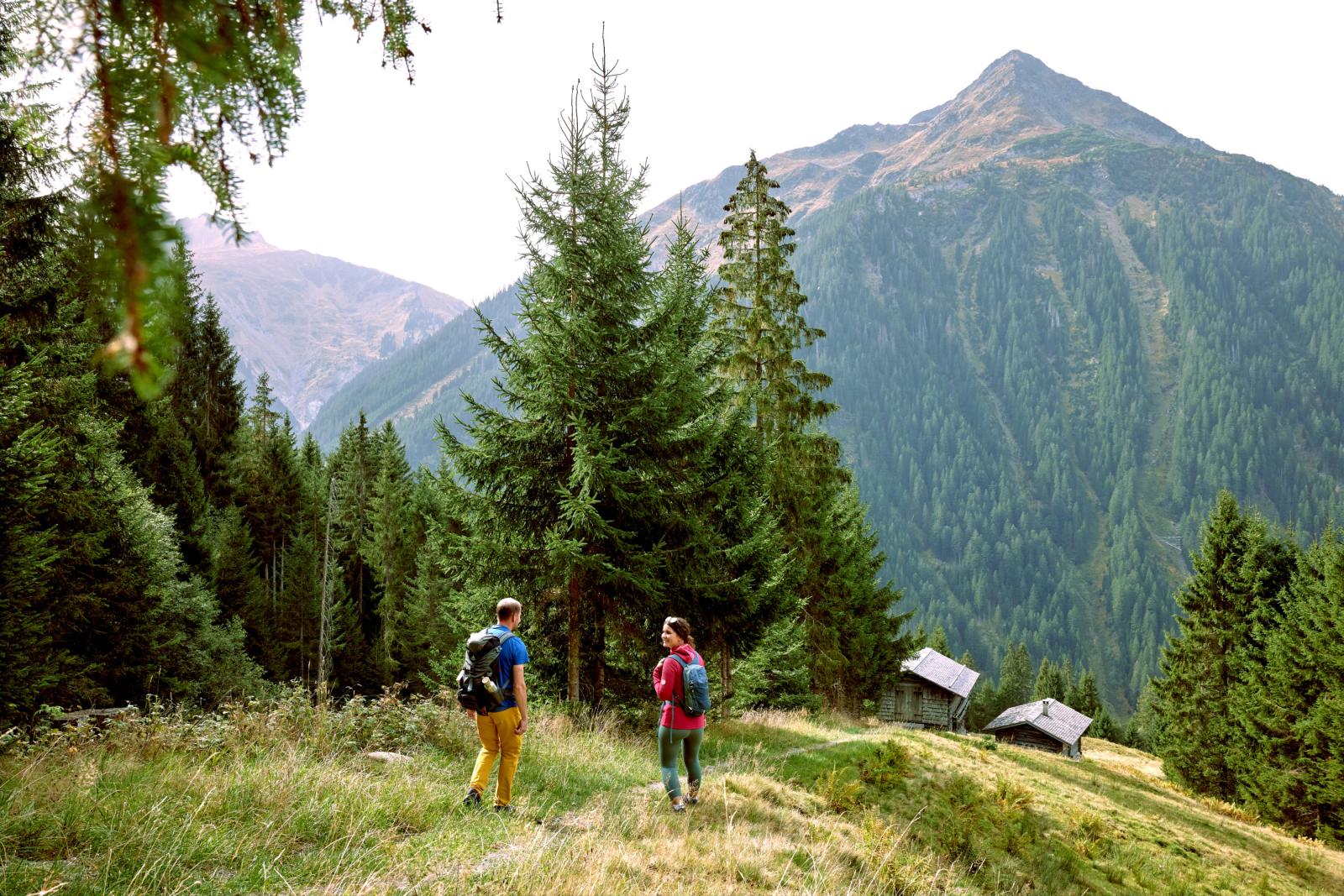 Top 20 Herbst-Almtouren 2026