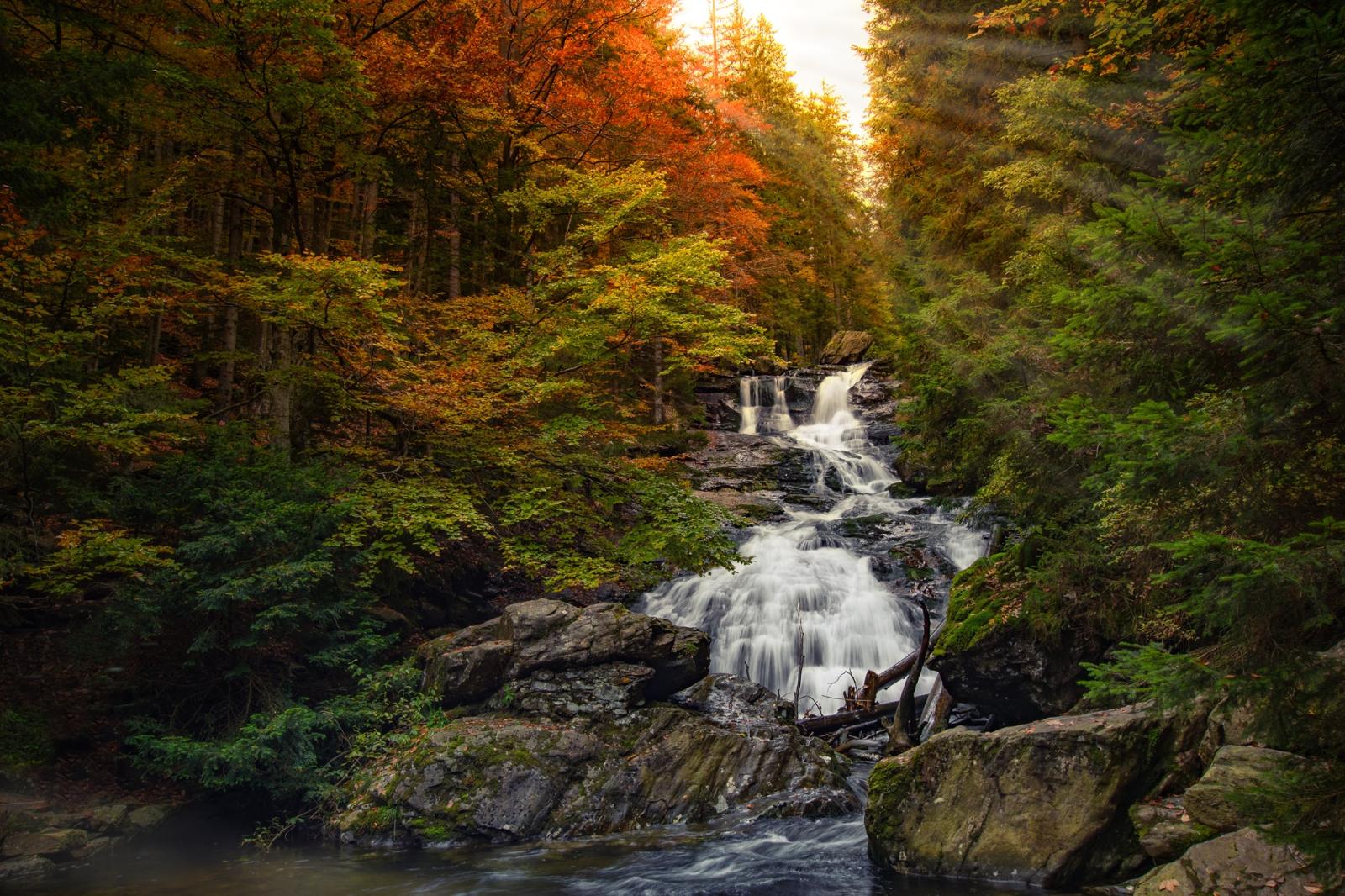 Globetrotter Wandertag: Deutschlands schönster Wanderweg wird gefeiert