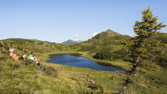 Natur am Nassfeld / Bild: NLW / Franz Gerdl