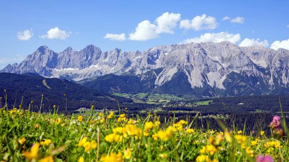 Die Steiermark erwandern: Wanderroute „Vom Gletscher zum Wein“ – Südroute / Bild: Steiermark Tourismus / photo-austria.at Die Steiermark erwandern: Wanderroute „Vom Gletscher zum Wein“ – Südroute / Bild: Steiermark Tourismus / photo-austria.at