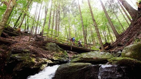 Alpe-Adria-Trail im Selbstversuch: Wo Wasser und Wellness am Weg liegen / Bild: Kärnten Werbung Alpe-Adria-Trail im Selbstversuch: Wo Wasser und Wellness am Weg liegen / Bild: Kärnten Werbung