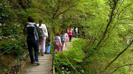 Unterwegs am Alpe-Adria-Trail – Etappe 26: Drežnica - Tolmin / Bild: Kärnten Werbung GmbH / AlpeAdriaTrail