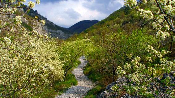 Unterwegs am Alpe-Adria-Trail – Etappe 36: Lipica - San Dorligo della Valle / Dolina / Bild: Turismo FVG