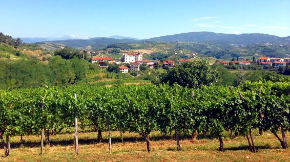 Unterwegs am Alpe-Adria-Trail – Etappe 30: Breg bei Golo Brdo - Šmartno / Bild: Alexandra Rieger / Kärnten Werbung GmbH / AlpeAdriaTrail Unterwegs am Alpe-Adria-Trail – Etappe 30: Breg bei Golo Brdo - Šmartno / Bild: Alexandra Rieger / Kärnten Werbung GmbH / AlpeAdriaTrail