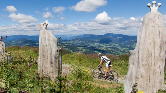 Alle Strecken der Bike-Region Graz auf einer Gratiskarte / Bild: Graz Tourismus Alle Strecken der Bike-Region Graz auf einer Gratiskarte / Bild: Graz Tourismus