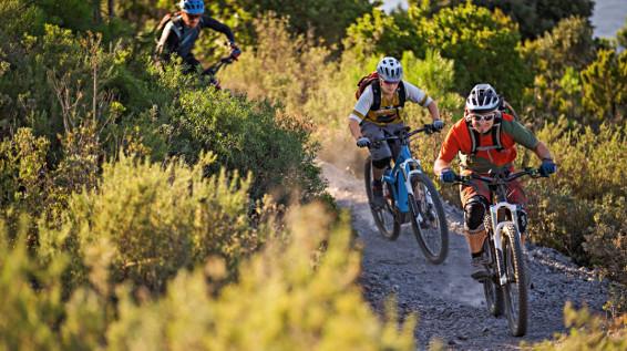 E-MTB: Die Fahrtechnik für den Uphill-Flow / Bild: Bosch E-MTB: Die Fahrtechnik für den Uphill-Flow / Bild: Bosch