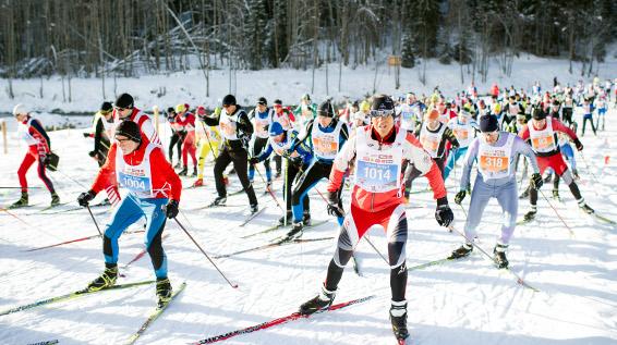 Langläufer aufgepasst: Der 42. Dolomitenlauf 2016 in Osttirol ist gesichert! / Bild: Expa Pictures Langläufer aufgepasst: Der 42. Dolomitenlauf 2016 in Osttirol ist gesichert! / Bild: Expa Pictures