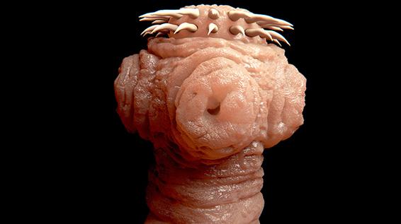 Ekling, sinnlos, grausam: Die 5 bescheuertsten Diäten der Welt / Bild: iStock / selvanegra Ekling, sinnlos, grausam: Die 5 bescheuertsten Diäten der Welt / Bild: iStock / selvanegra