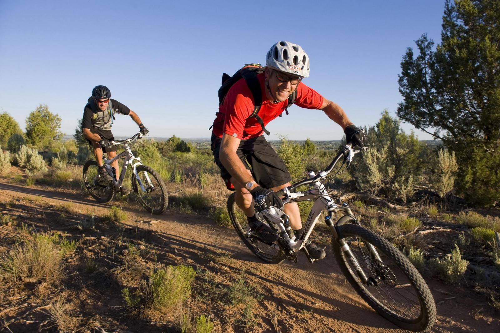 All Mountainbike Mountainbike