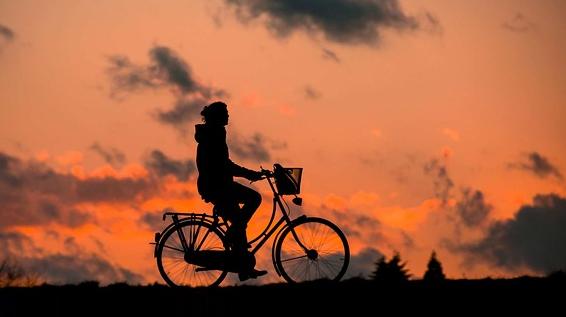 Onlinebörse „fahrrad4you.at“ eröffnet Marktplatz für den Fahrradhandel / Bild: KK