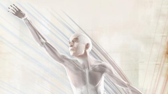 Faszinierende Faszien: Das kann der neue Fitnesstrend / Bild: Fascialnet