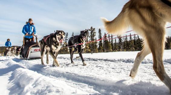 Bewerbung für den Fjällräven Polar 2016 bis 10. Dezember 2015 geöffnet! / Bild: Fjällräven Bewerbung für den Fjällräven Polar 2016 bis 10. Dezember 2015 geöffnet! / Bild: Fjällräven
