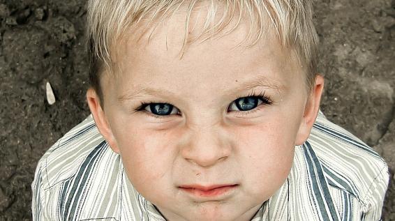 Gedanken vom Sportpsychologen: "Noch so ein Hirni!" / Bild: KK