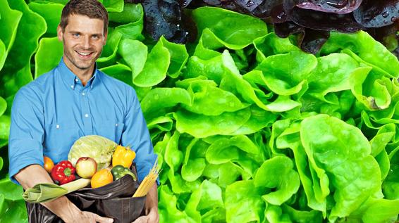 Gesunde Ernährung: Iss dich schlau! / Bild: Reinhard-Karl Üblacker / KK