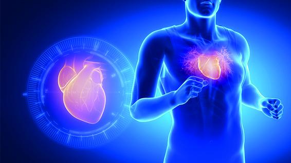 Risiko für Herz-Kreislauf? Wann (Halb-) Marathons tödlich enden / Bild: iStock / janulla Risiko für Herz-Kreislauf? Wann (Halb-) Marathons tödlich enden / Bild: iStock / janulla