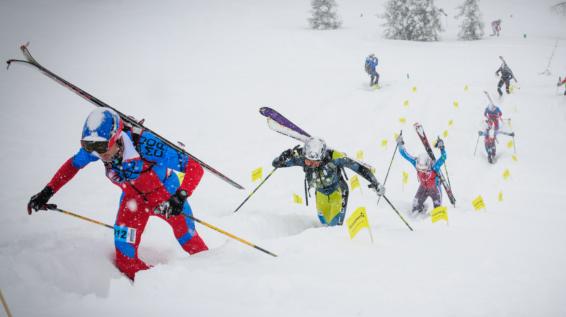 Hochkönig Erztrophy Bischofshofen 2016: Österreichische Staatsmeisterhaft im Skibergsteigen und Rennen für Jedermann / Bild: Veranstalter