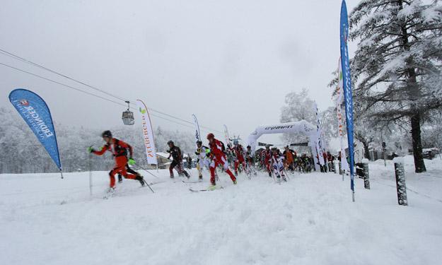 Bild: Karl Posch Bild: Karl Posch