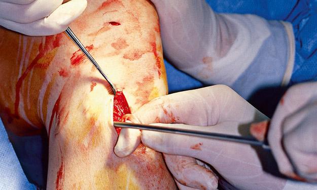 Bild: Shutterstock Bild: Shutterstock